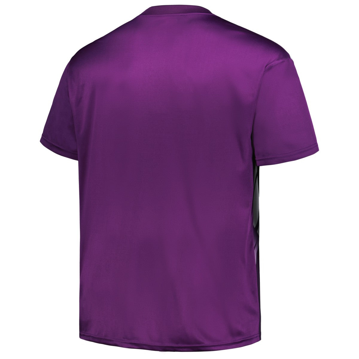 Phoenix Suns Big & Tall Sublimated T-Shirt - Purple for sale