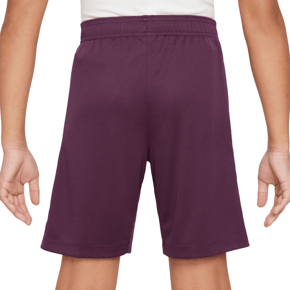 Paris Saint-Germain Youth 2024/25 Strike Performance Shorts - Burgundy | Nike discount