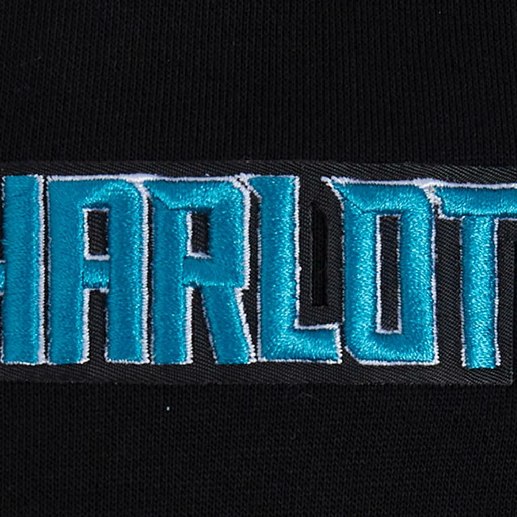 Charlotte Hornets Pro Standard Area Code Pullover Hoodie - Black outlet
