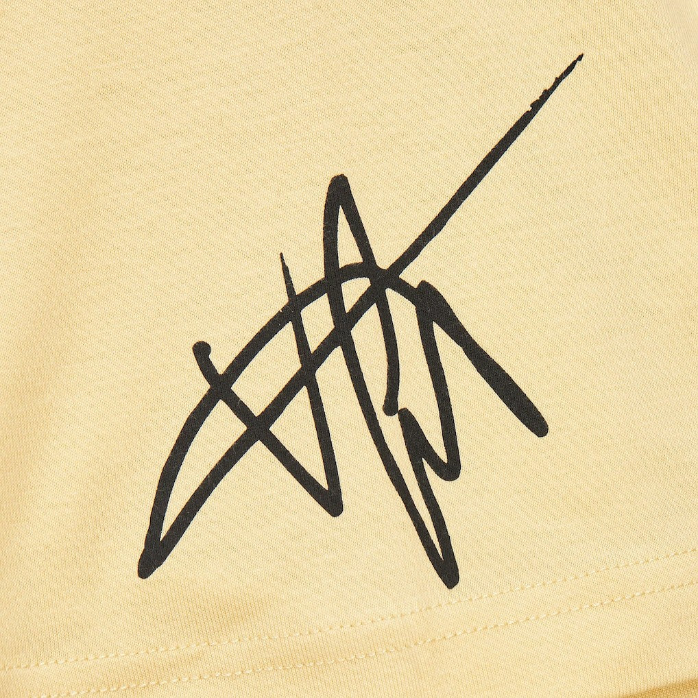 Vince Carter Toronto Raptors Premium T-Shirt - Cream | Mitchell & Ness outlet