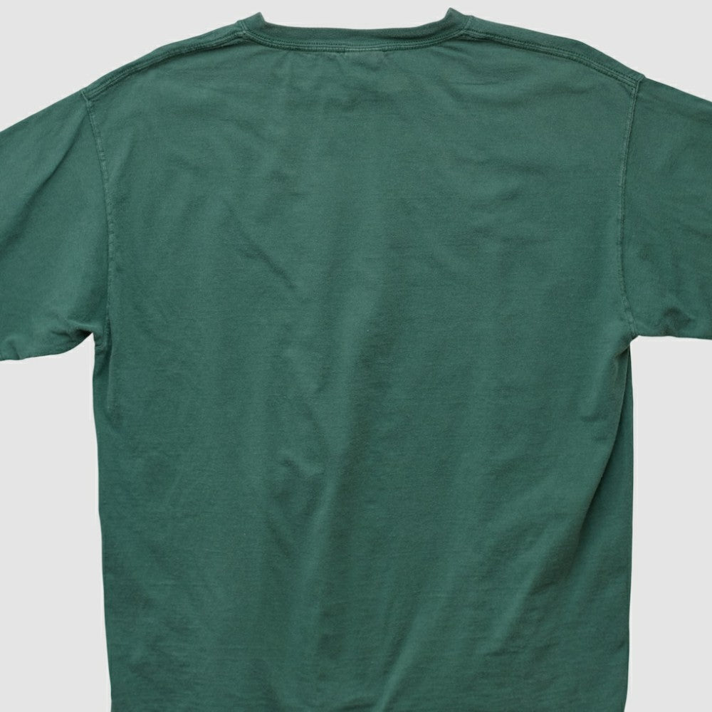 Tampa Bay Rays Lee Sport T-shirt - Green Vintage