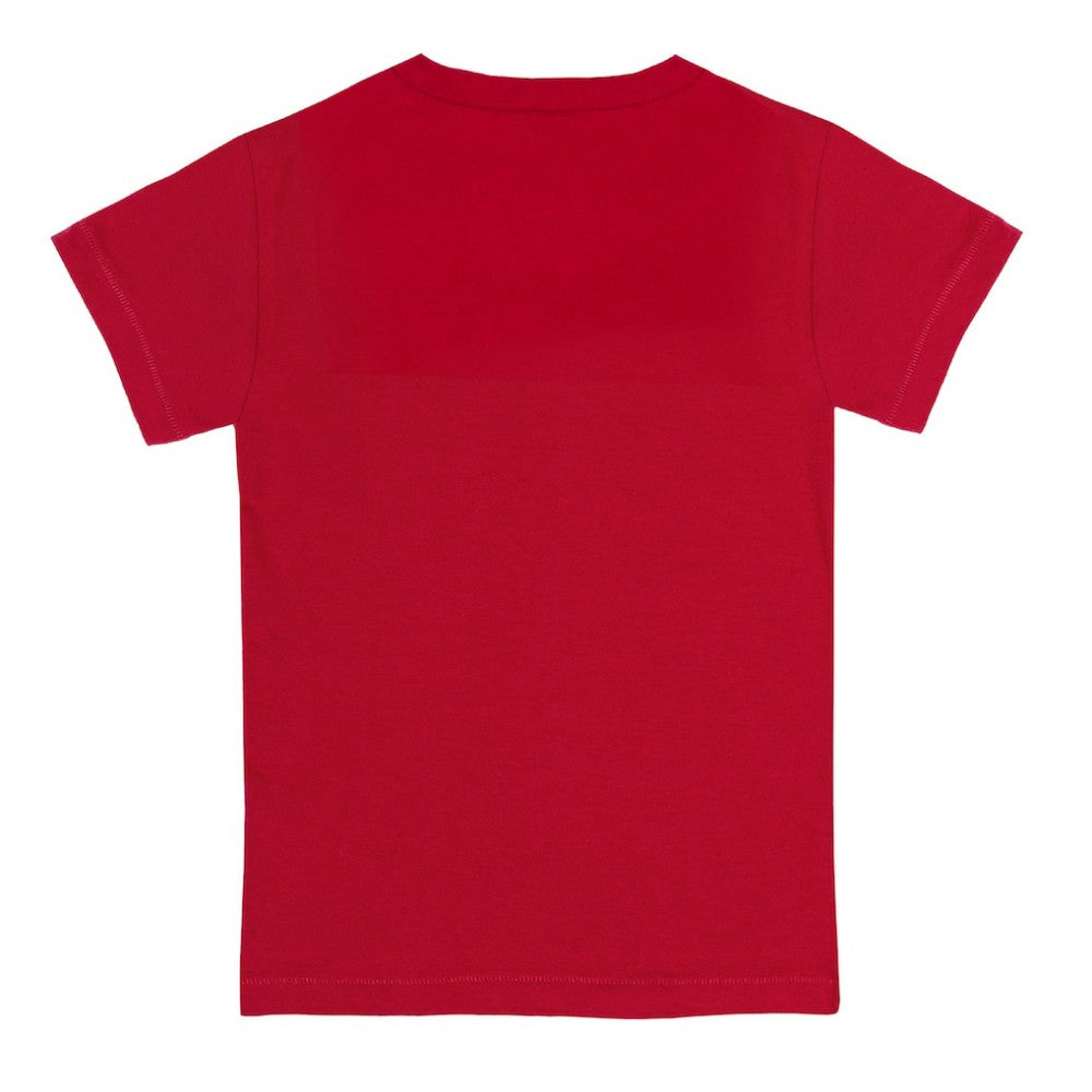 St. Louis Cardinals Tiny Turnip Youth Popcorn T-Shirt - Red