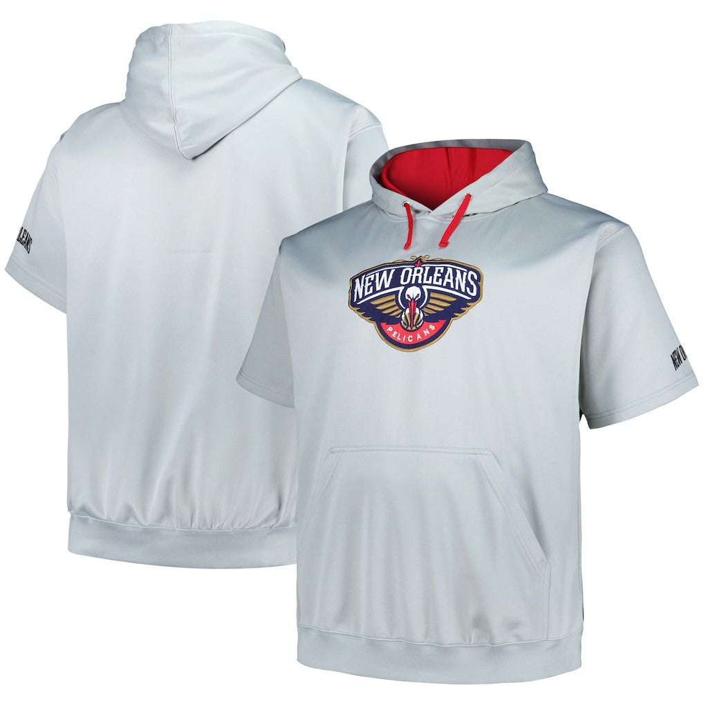 New Orleans Pelicans Big & Tall Logo Pullover Hoodie - Silver | Fanatics shop