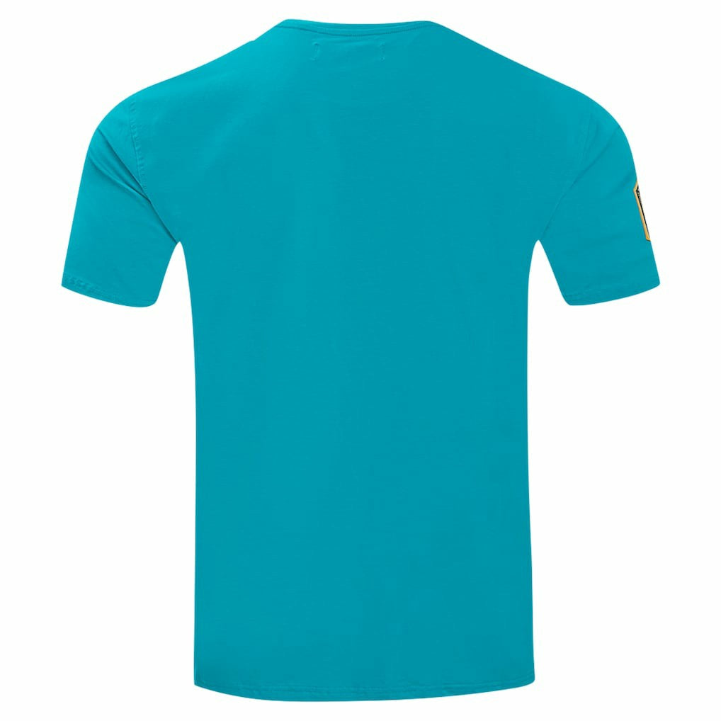 Charlotte Hornets Pro Standard 2023 City Edition T-Shirt - Teal online