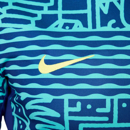 Brazil National Team 2024 Academy Pro Pre-Match Top - Blue | Nike for sale