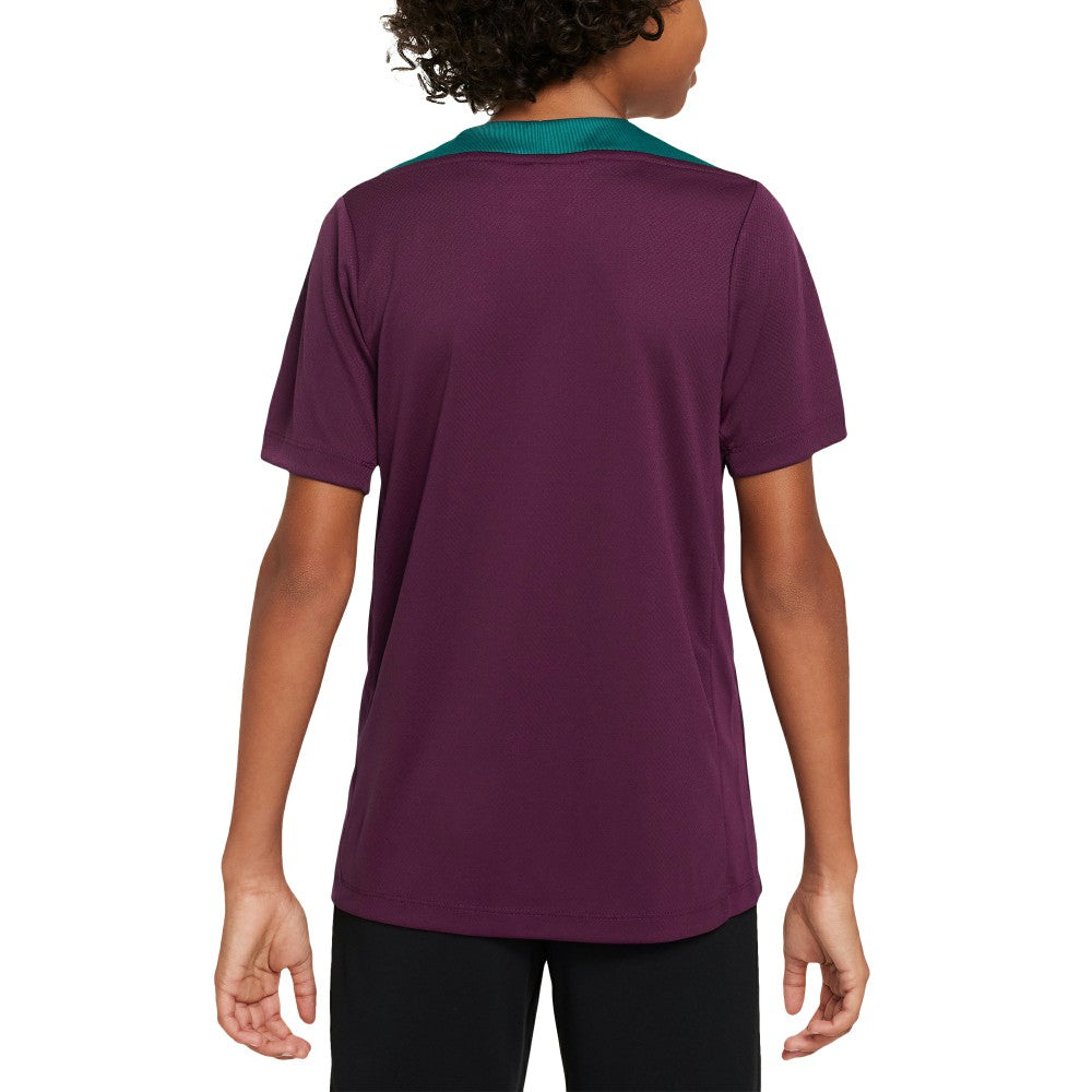Paris Saint-Germain Youth 2024/25 Strike Training Performance Top - Burgundy | Nike discount
