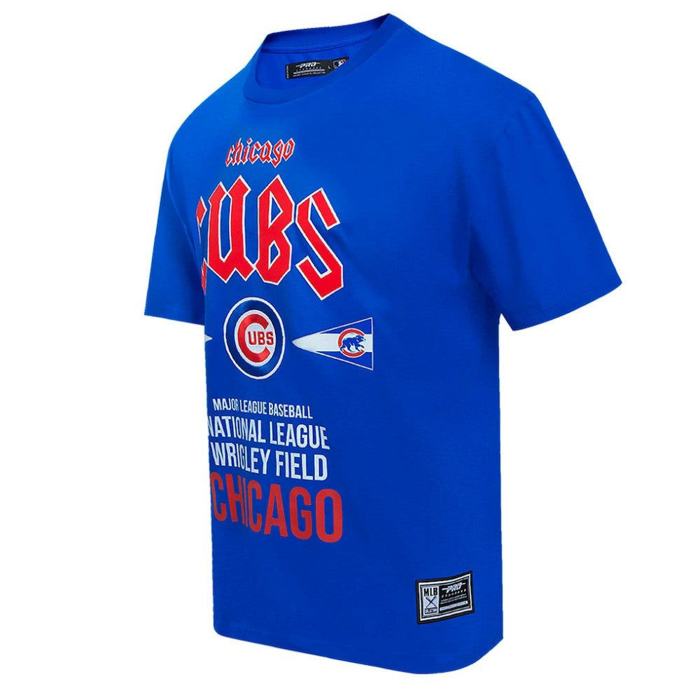 Chicago Cubs Pro Standard Oversized City Tour T-Shirt - Royal