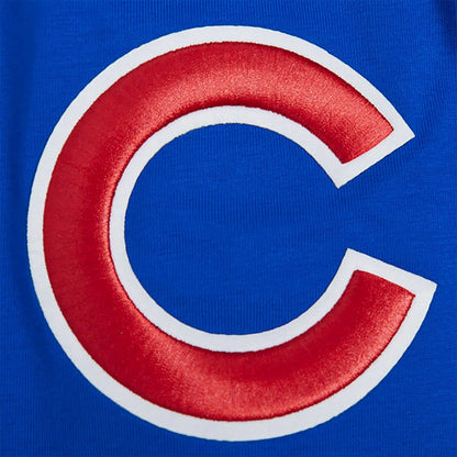 Chicago Cubs Pro Standard Oversized City Tour T-Shirt - Royal