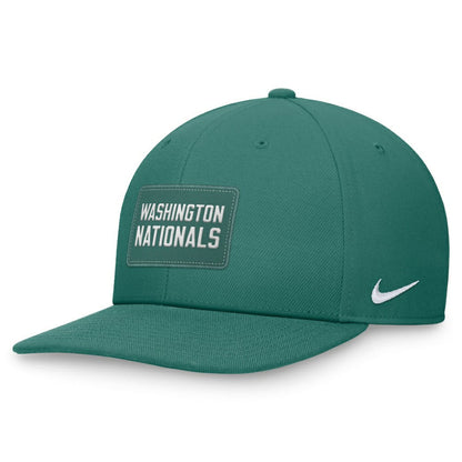 Washington Nationals Bicoastal Pro Performance Snapback Hat - Green | Nike