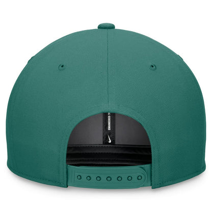 Washington Nationals Bicoastal Pro Performance Snapback Hat - Green | Nike