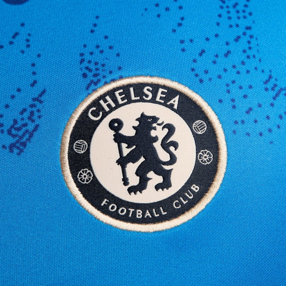 Chelsea 2024/25 Academy Pro Pre-Match Top - Blue | Nike online