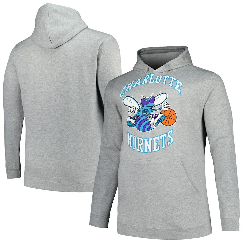 Charlotte Hornets Hardwood Classics Big & Tall Pullover Hoodie - Heather Gray | Mitchell & Ness discount