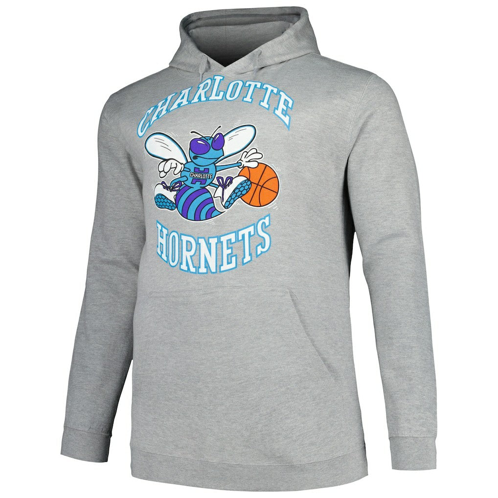 Charlotte Hornets Hardwood Classics Big & Tall Pullover Hoodie - Heather Gray | Mitchell & Ness discount