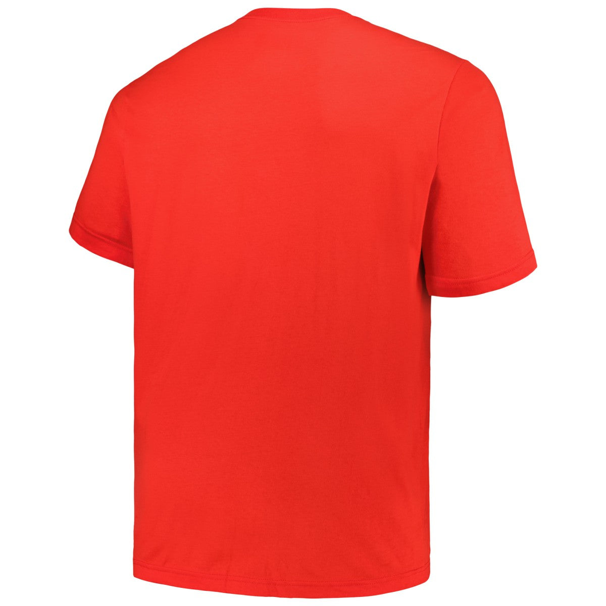 Miami Heat Big & Tall Hardwood Classics Vintage Logo T-Shirt - Red | Mitchell & Ness discount