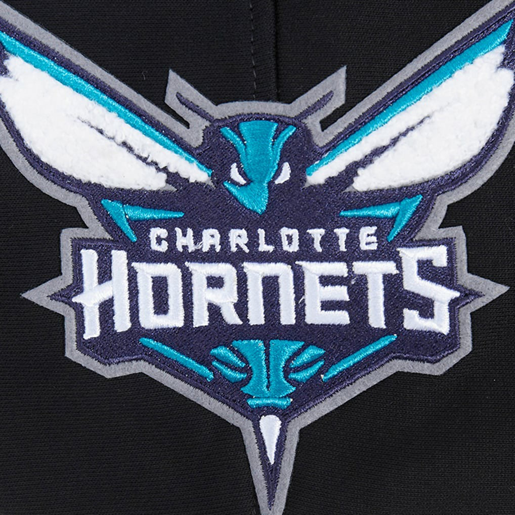 Charlotte Hornets Pro Standard Area Code Pullover Hoodie - Black outlet