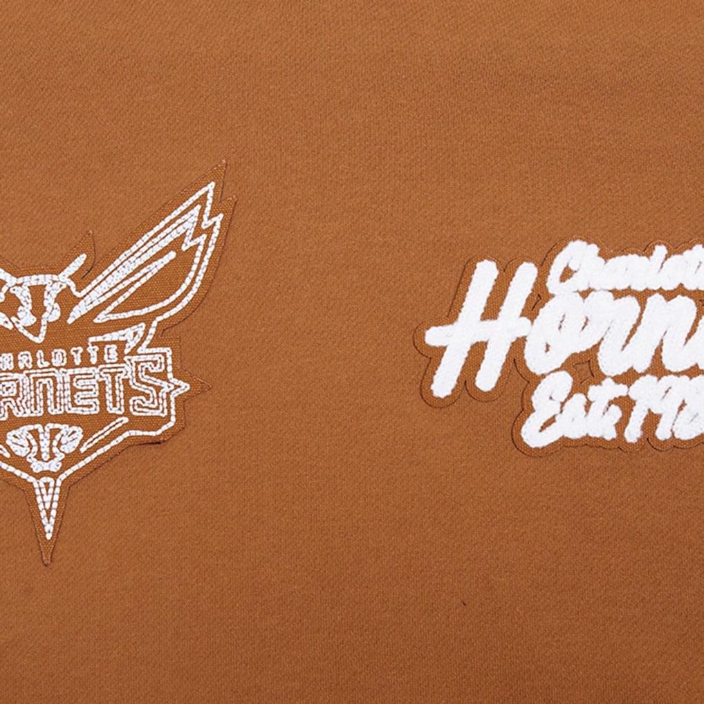 Charlotte Hornets Pro Standard Paint the City Drop Shoulder Pullover Hoodie - Brown discount