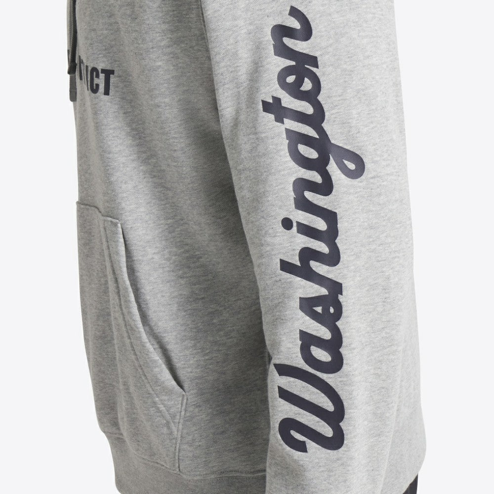 Washington Nationals 2025 City Connect French Terry Club Pullover Hoodie - Heather Gray | Nike