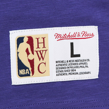 Phoenix Suns Hardwood Classics Felt Applique Slub T-Shirt - Purple | Mitchell & Ness outlet