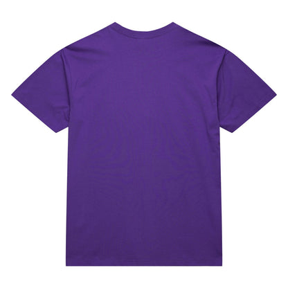 Toronto Raptors Hardwood Classics Neon Nights Premium T-Shirt - Raptors Purple | Mitchell & Ness sale