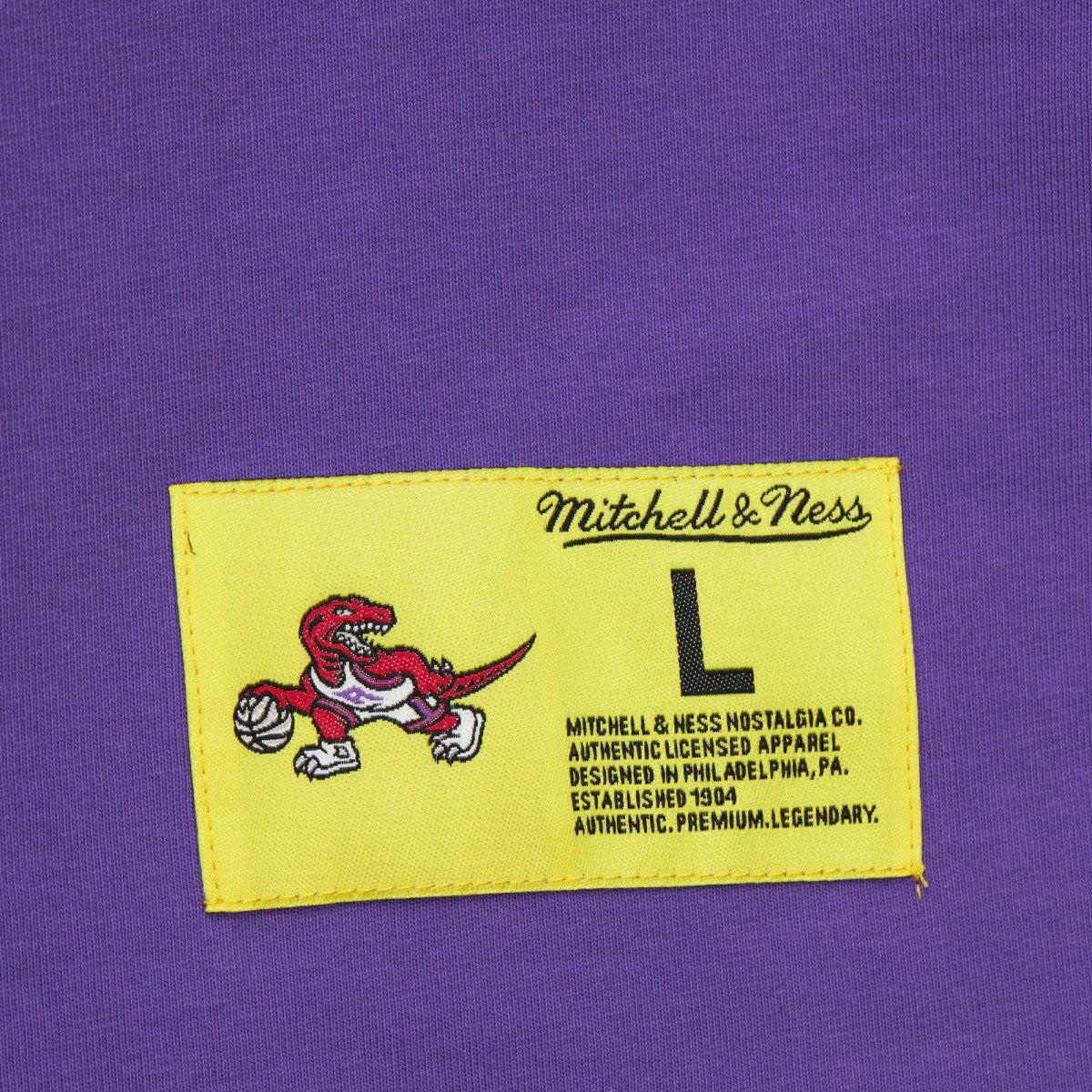 Toronto Raptors Hardwood Classics Neon Nights Premium T-Shirt - Raptors Purple | Mitchell & Ness sale