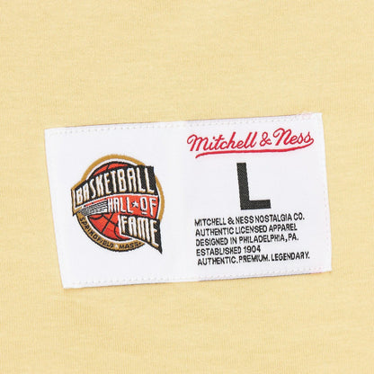 Vince Carter Toronto Raptors Premium T-Shirt - Cream | Mitchell & Ness outlet