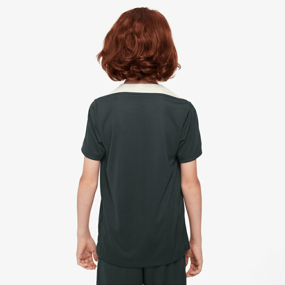Chelsea Youth 2025/26 Strike Raglan Top - Green | Nike shop