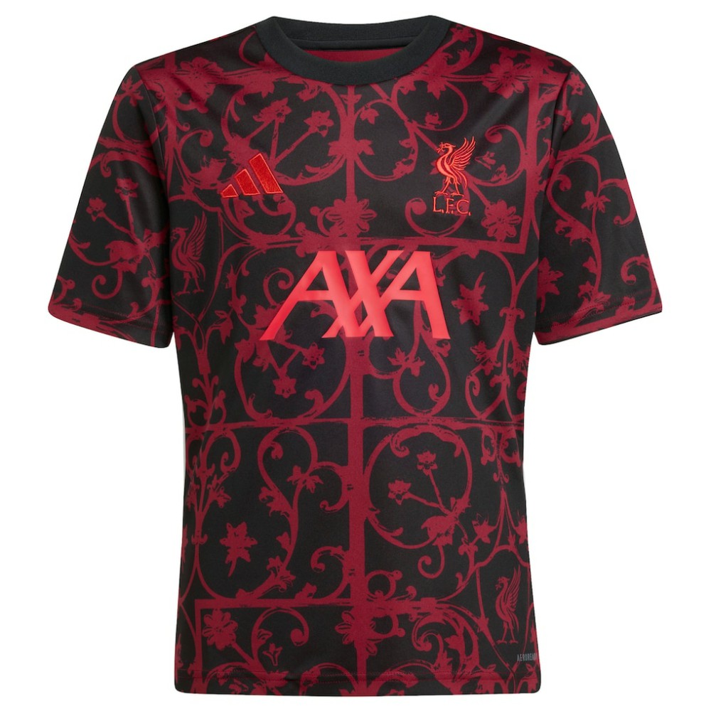 Liverpool Youth 2025/26 Pre-Match AEROREADY Top - Black | Adidas online
