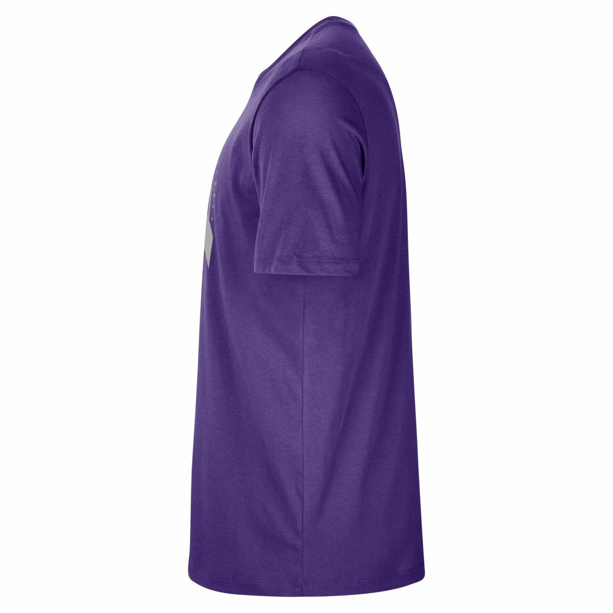 Sacramento Kings Authentic Practice T-Shirt - Purple | Nike for sale