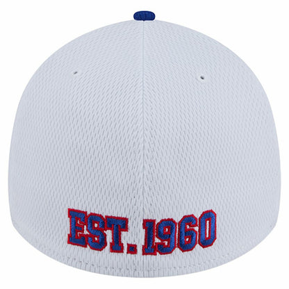 Buffalo Bills New Era Dashmark Rays 39THIRTY Flex Hat - White/Royal discount