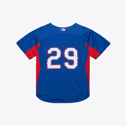 Adrian Beltre Texas Rangers Cooperstown Mesh Batting Practice Button-Up Jersey - Royal | Mitchell & Ness
