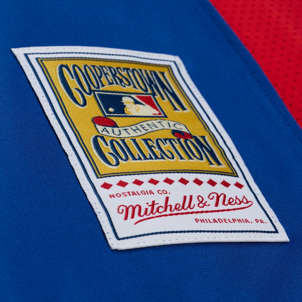 Adrian Beltre Texas Rangers Cooperstown Mesh Batting Practice Button-Up Jersey - Royal | Mitchell & Ness