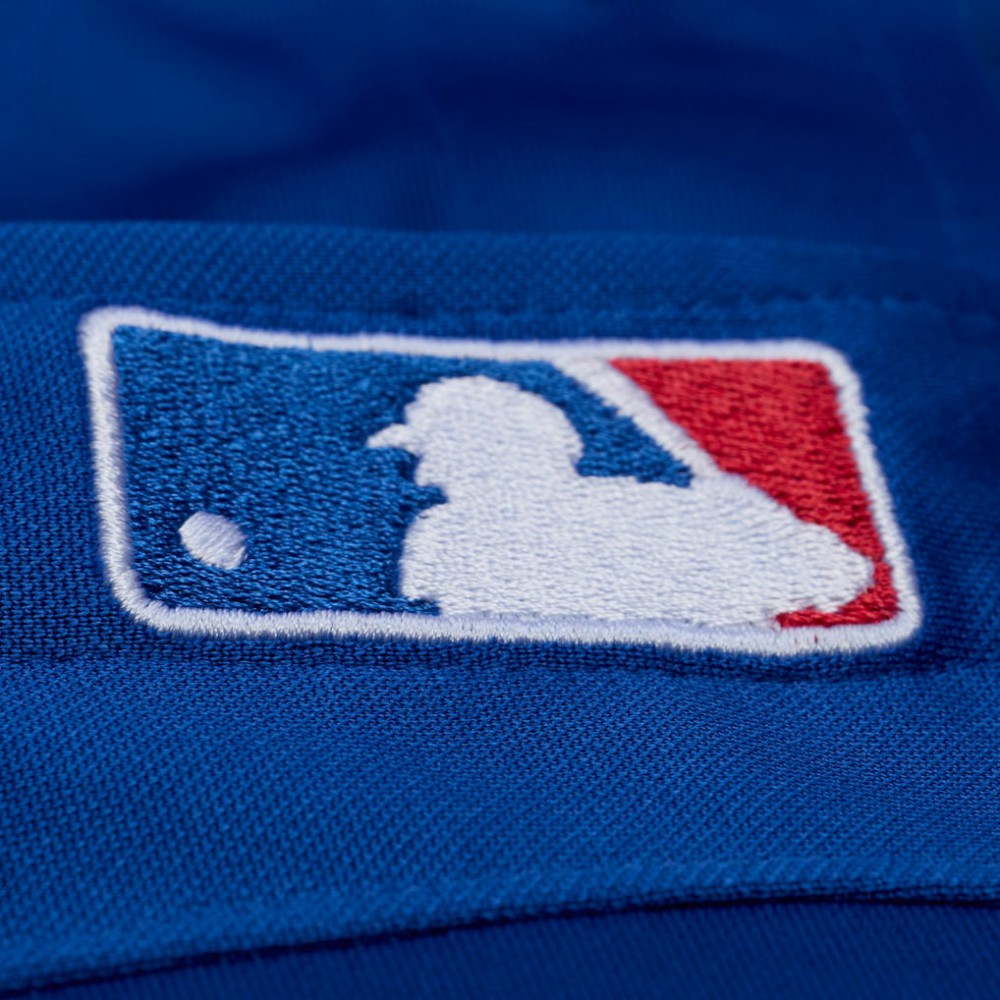 Adrian Beltre Texas Rangers Cooperstown Mesh Batting Practice Button-Up Jersey - Royal | Mitchell & Ness