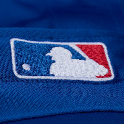 Adrian Beltre Texas Rangers Cooperstown Mesh Batting Practice Button-Up Jersey - Royal | Mitchell & Ness