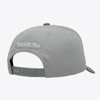 Charlotte Hornets Thunderstorm Head Coach Pro Crown Snapback Hat - Gray | Mitchell & Ness sale