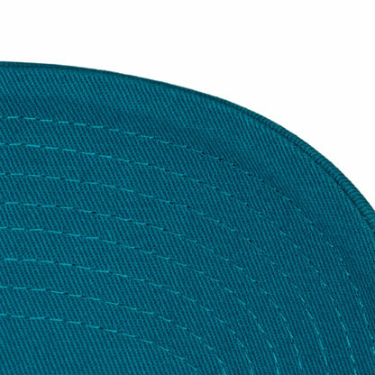 Charlotte Hornets Hardwood Classics 1904 Adjustable Hat - Teal | Mitchell & Ness for sale