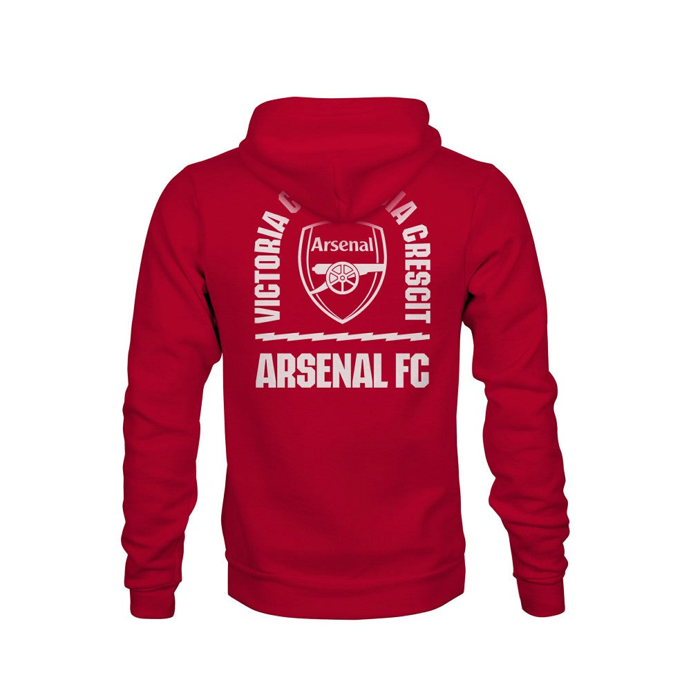 Arsenal 1863FC Youth True to Glory Fleece Hoodie - Red for sale