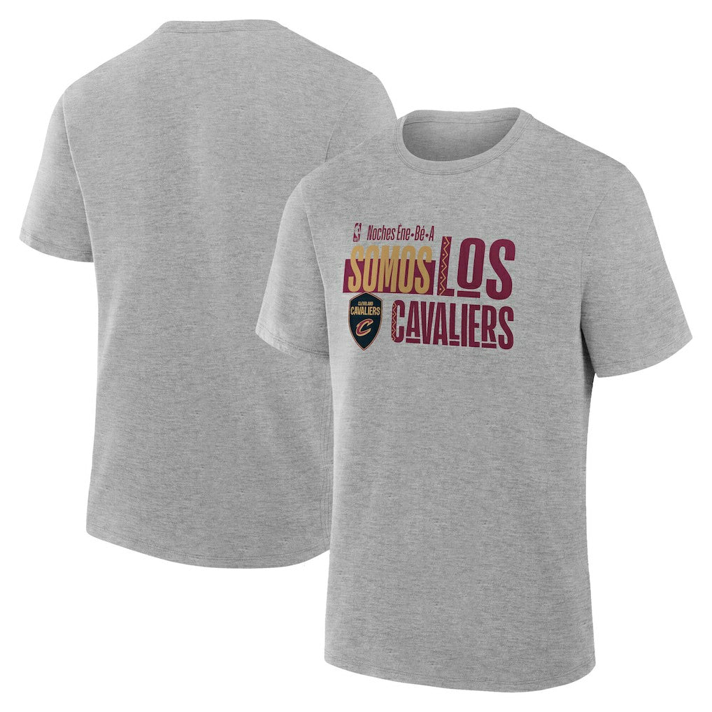 Cleveland Cavaliers Noches Training T-Shirt sale - Gray for sale