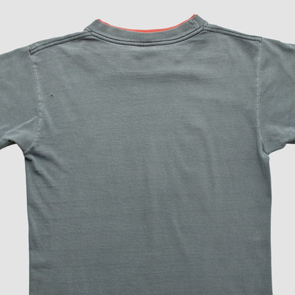 Minnesota Twins Salem 90s T-shirt - Gray Vintage