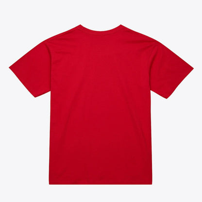 Atlanta Hawks Unisex Hardwood Classics Arch T-Shirt - Red | Mitchell & Ness online