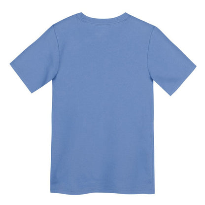 Chicago Cubs Preschool Electric Bear Alternate T-Shirt - Light Blue | Nike