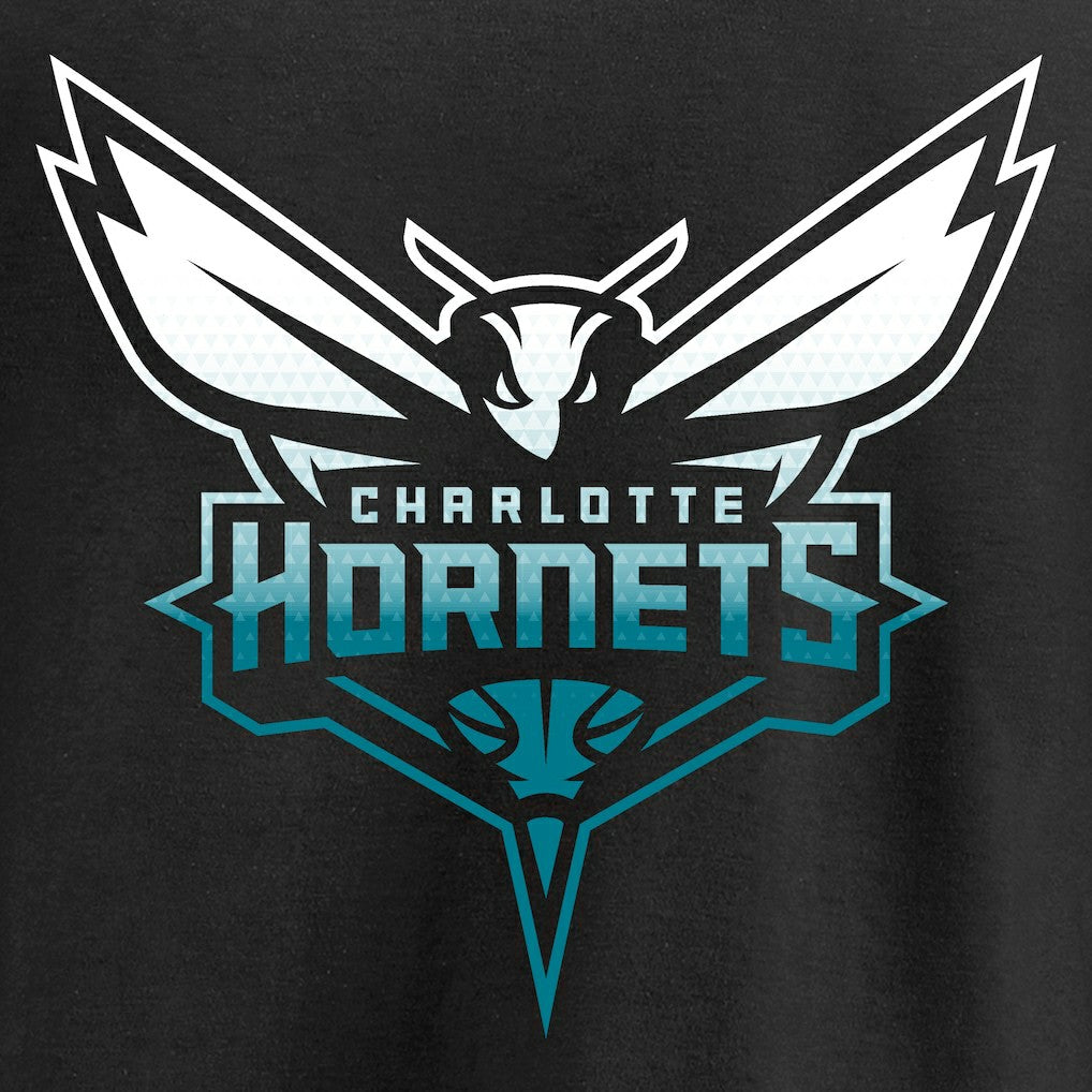 Charlotte Hornets Gradient Logo Long Sleeve T-Shirt - Black on sale