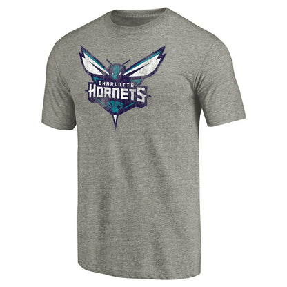 Charlotte Hornets Distressed Team Logo Tri-Blend T-Shirt - Heather Gray outlet