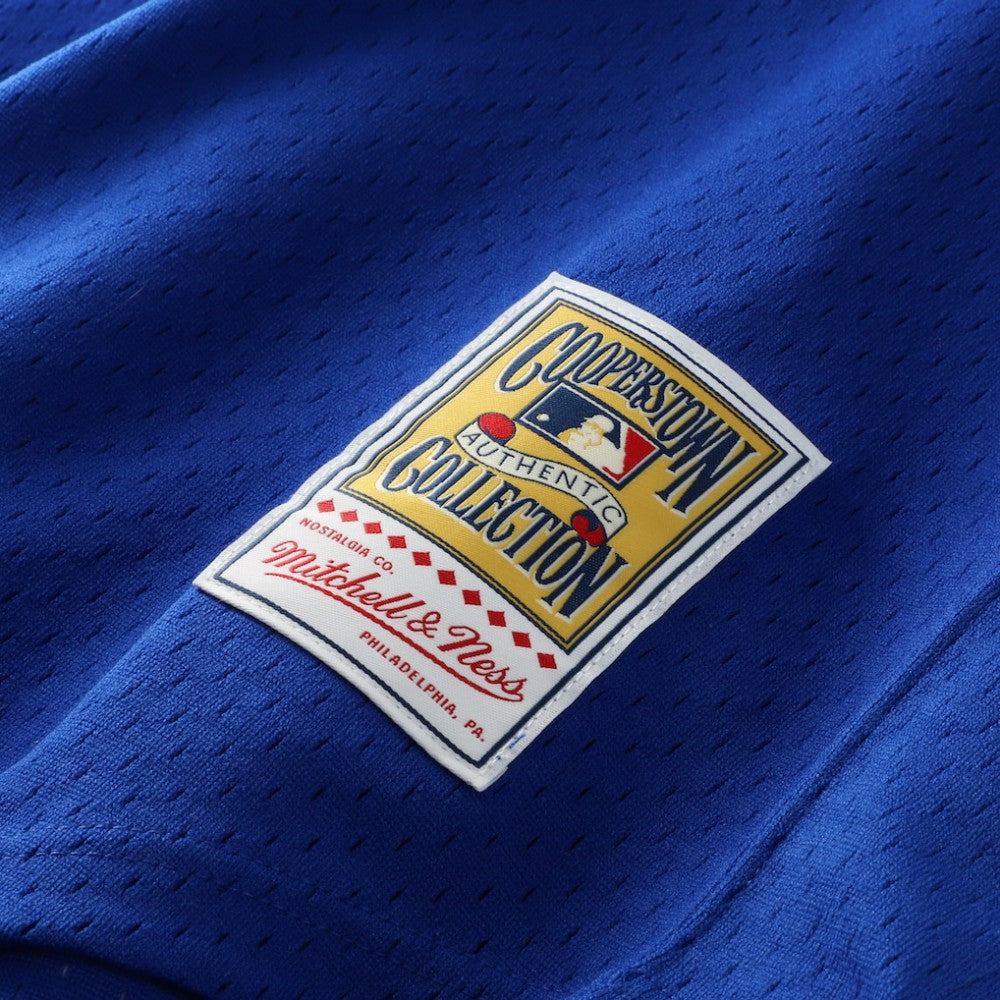 Dale Murphy Atlanta Braves Authentic Batting Practice Jersey - Royal | Mitchell & Ness