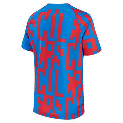 Barcelona 2022/23 Pre-Match Top - Blue | Nike shop