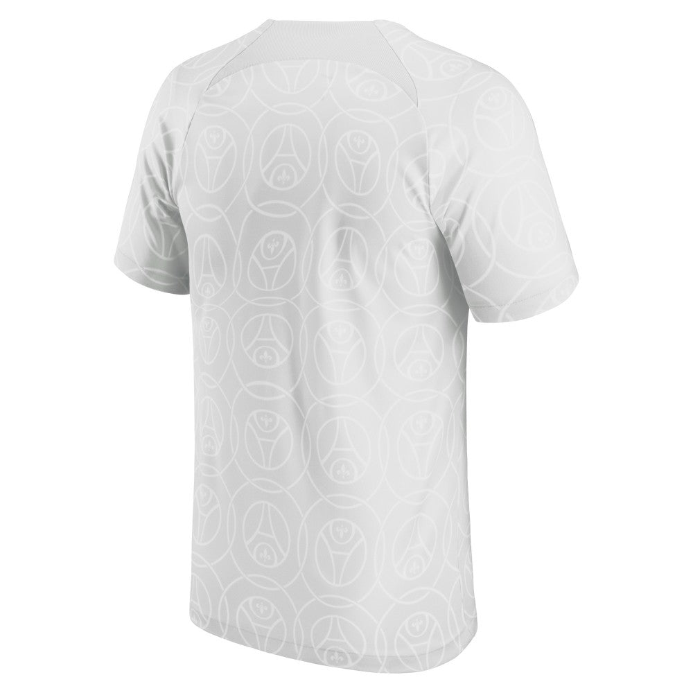 Paris Saint-Germain 2022/23 Pre-Match Top - Gray | Nike on sale