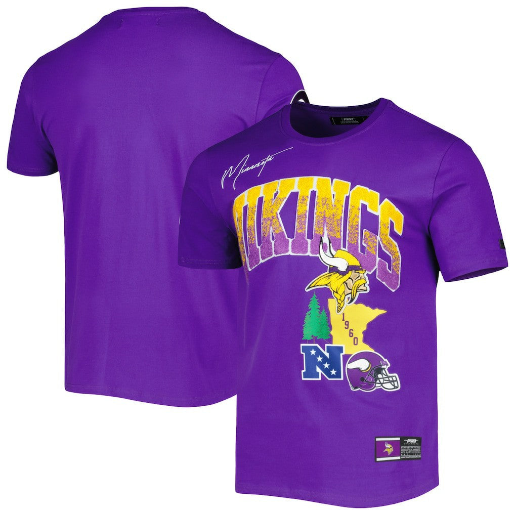 Minnesota Vikings Pro Standard Hometown Collection T-Shirt - Purple sale