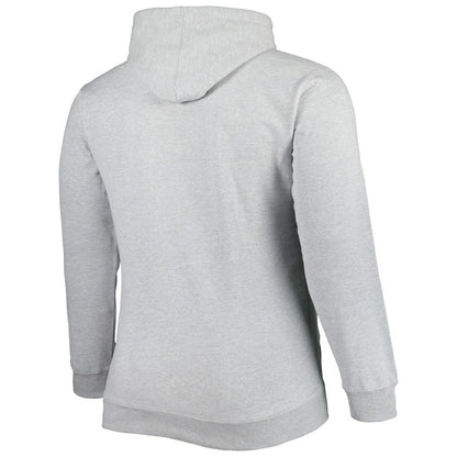 Charlotte Hornets Big & Tall Wordmark Pullover Hoodie - Heather Gray | Fanatics cheap
