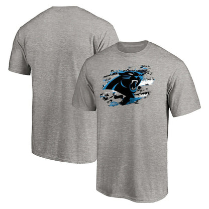 Carolina Panthers True Color T-Shirt - Heather Gray online