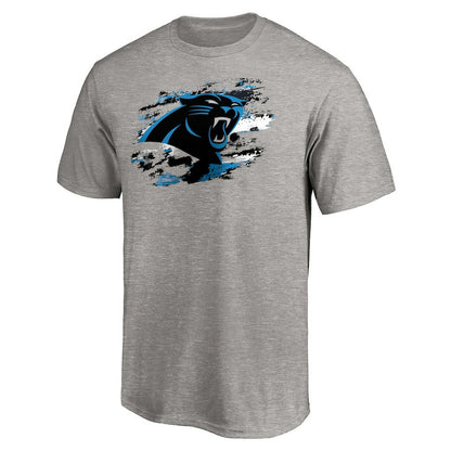 Carolina Panthers True Color T-Shirt - Heather Gray online