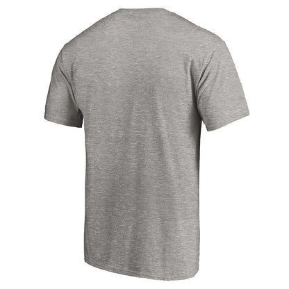 Carolina Panthers True Color T-Shirt - Heather Gray online